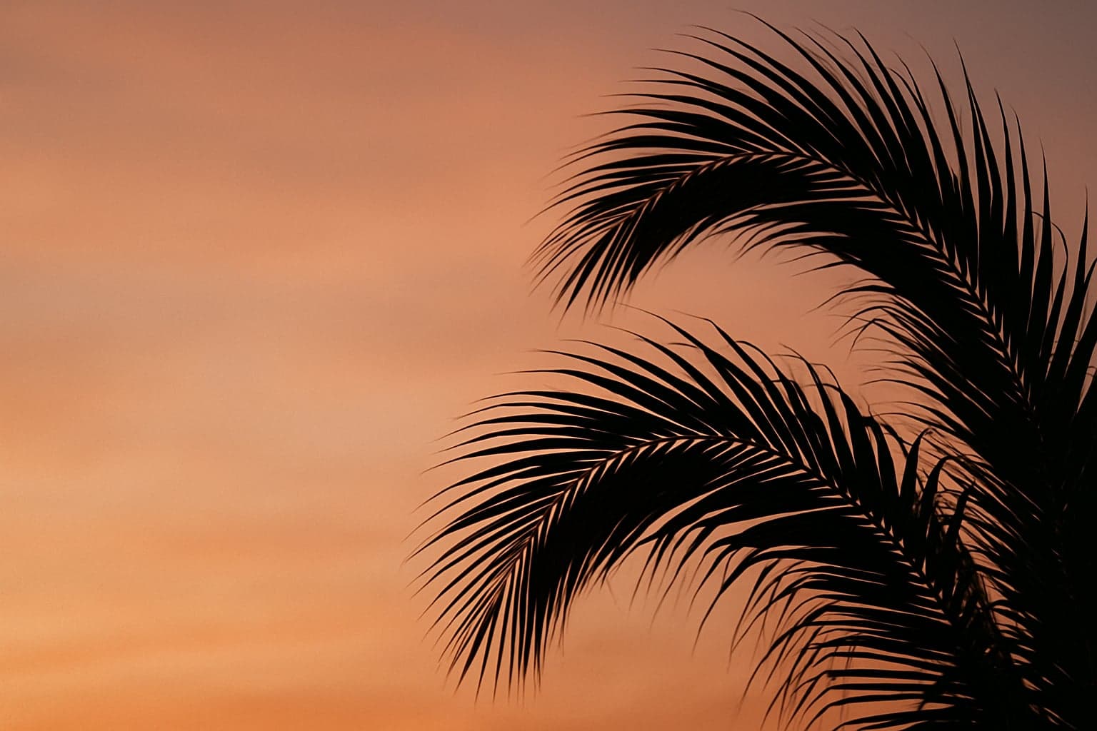 How to Avoid Real Estate Scams When Moving to Miami