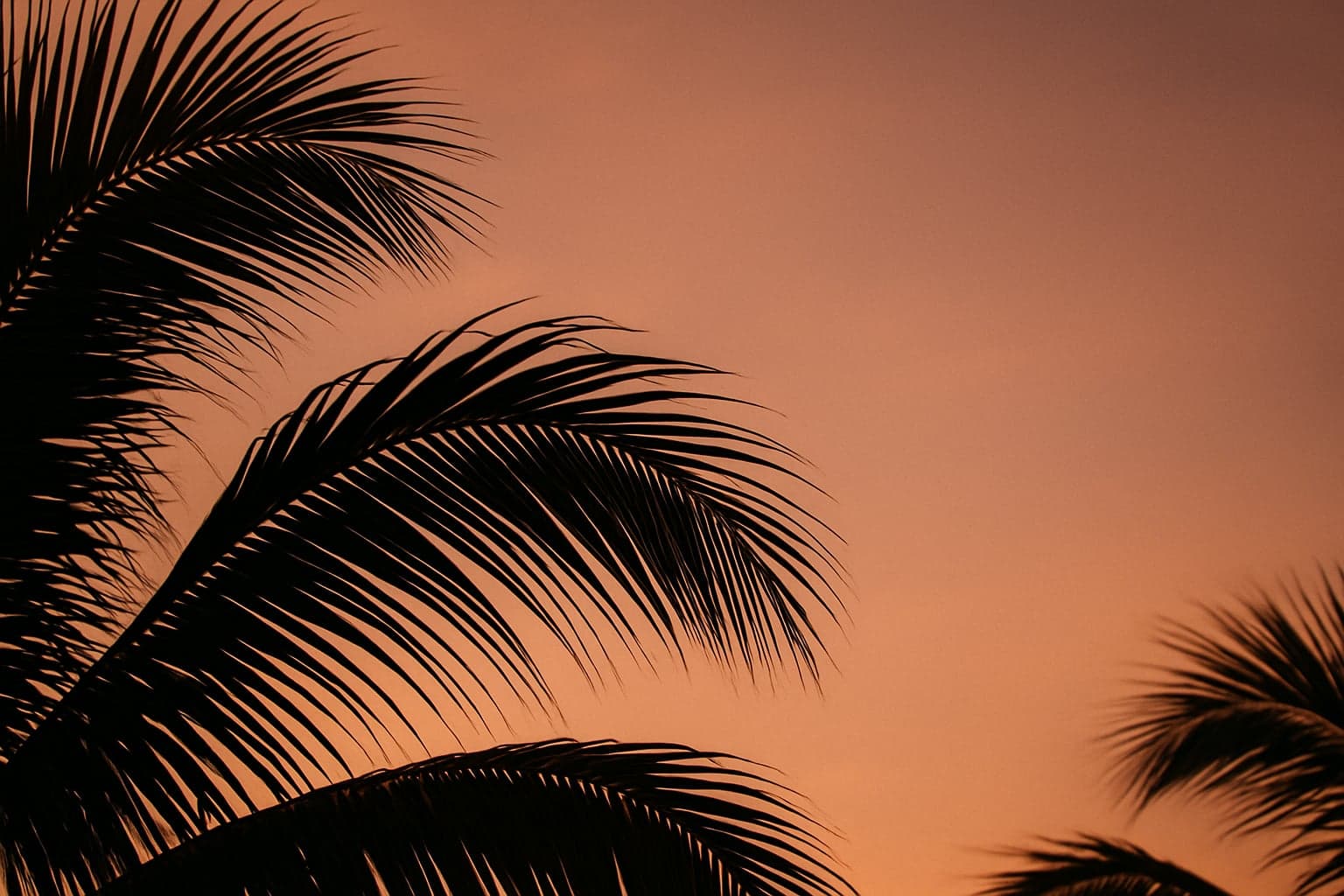 Crafting the Perfect Home Offer Letter in South Florida
