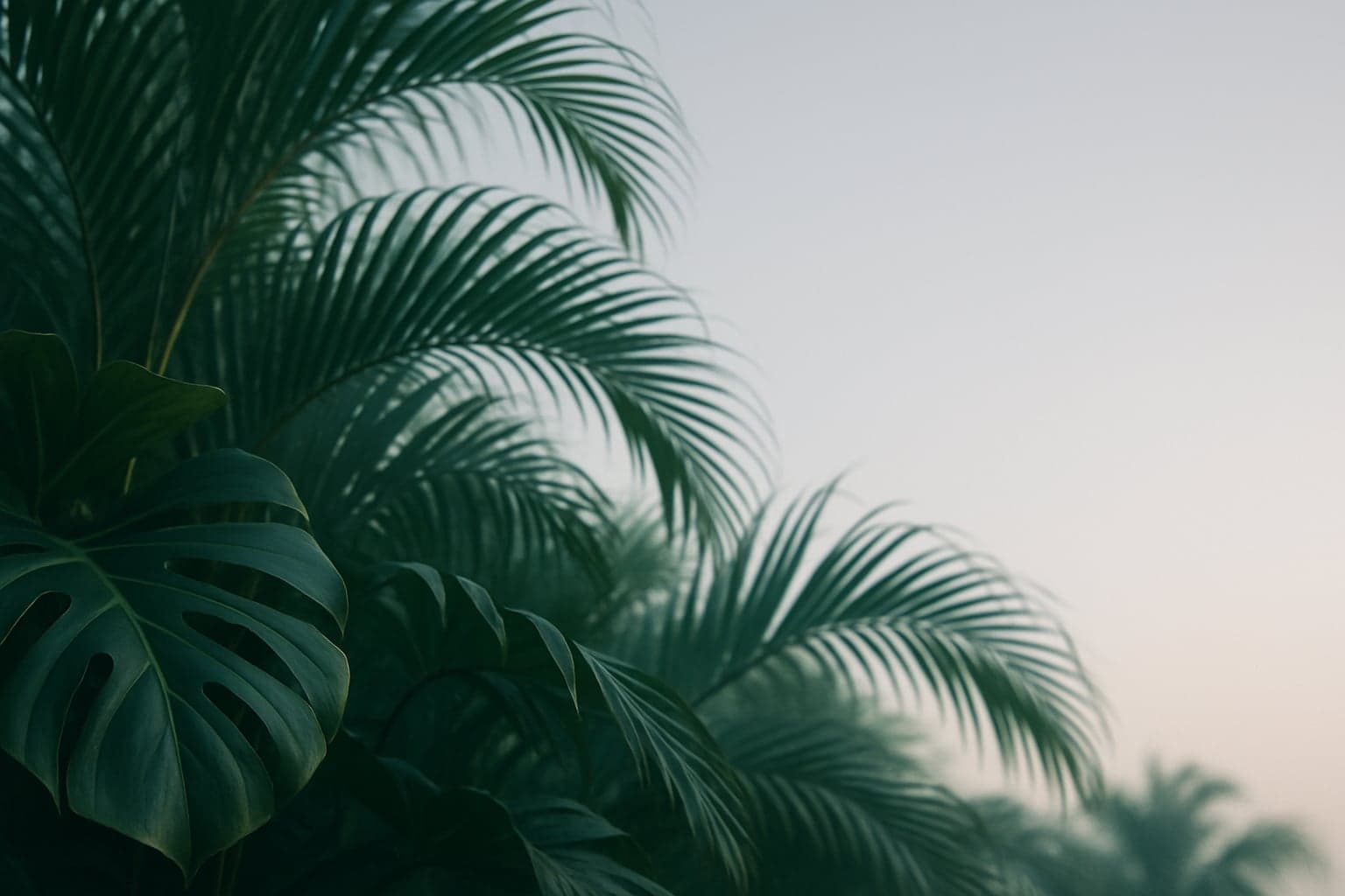 South Florida Market Pulse — Week of October 14