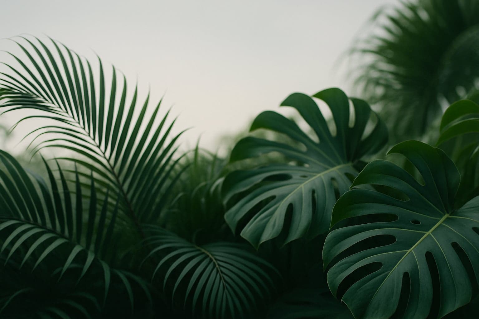 Why Coconut Grove is ideal for artistic entrepreneurs